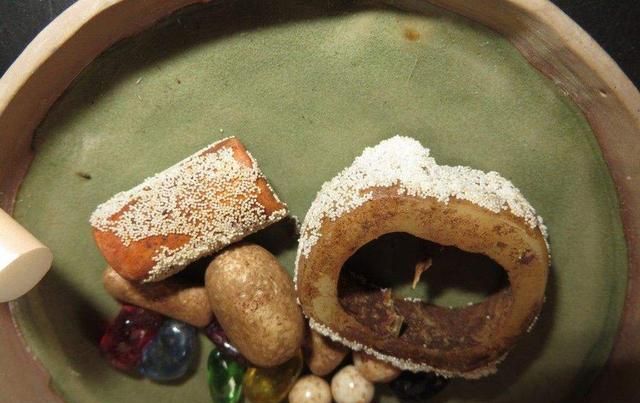 舍利是什么东西,舍利子是什么东西科学解释?图4