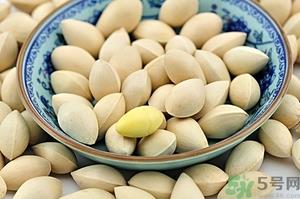 白果什么时候成熟?没熟的白果能不能吃? 白果什么时候成熟?没熟的白果能不能吃?