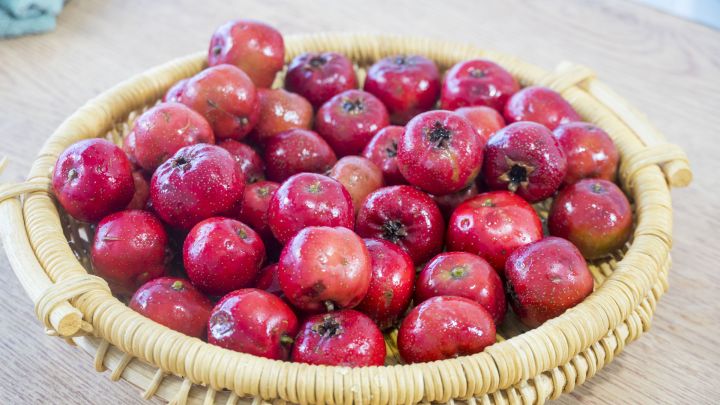 100种地摊小吃(分享12种最受欢迎的街边特色小吃)