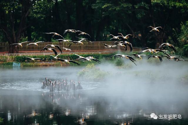 长隆野生动物世界旅行攻略(玩转长隆上篇)(78)