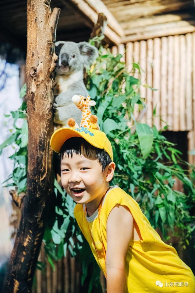 长隆野生动物世界旅行攻略(玩转长隆上篇)(44)