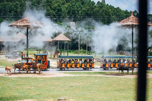长隆野生动物世界旅行攻略(玩转长隆上篇)(10)