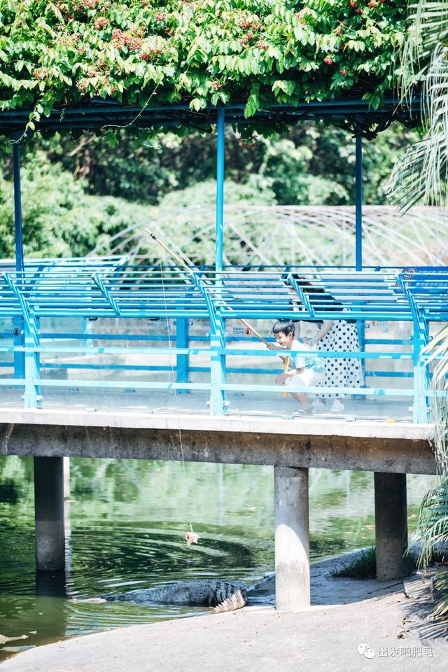 长隆野生动物世界旅行攻略(玩转长隆上篇)(73)