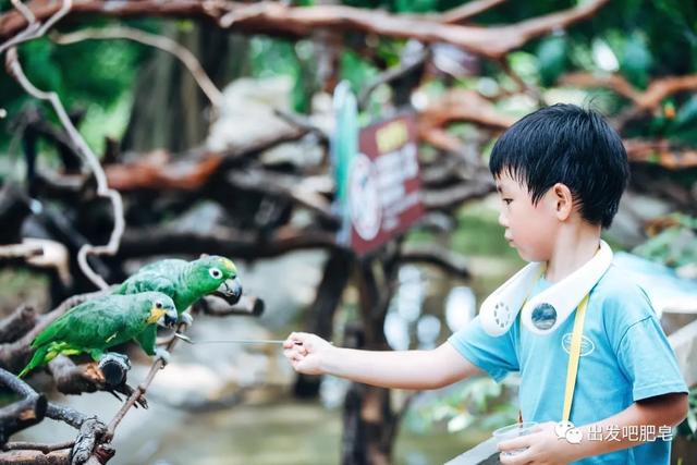 长隆野生动物世界旅行攻略(玩转长隆上篇)(63)