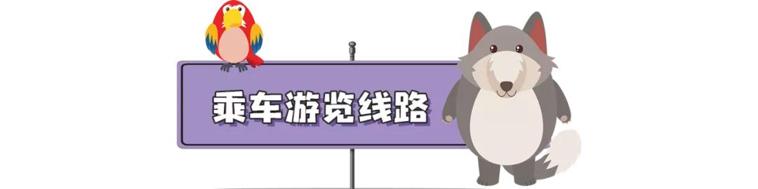 长隆野生动物世界旅行攻略(玩转长隆上篇)(9)