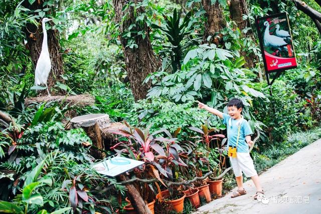 长隆野生动物世界旅行攻略(玩转长隆上篇)(67)