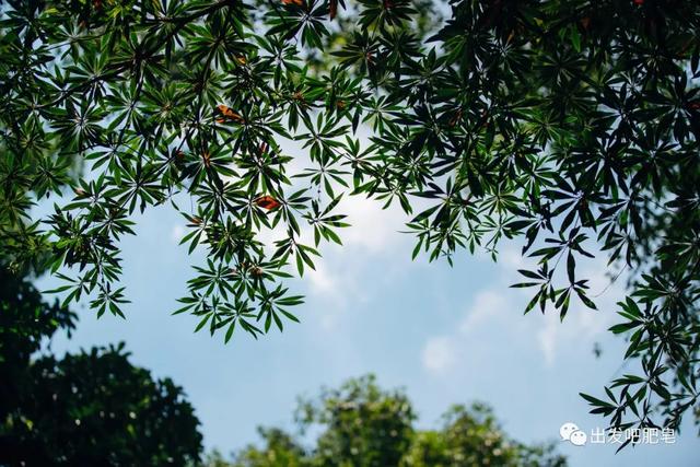 长隆野生动物世界旅行攻略(玩转长隆上篇)(25)