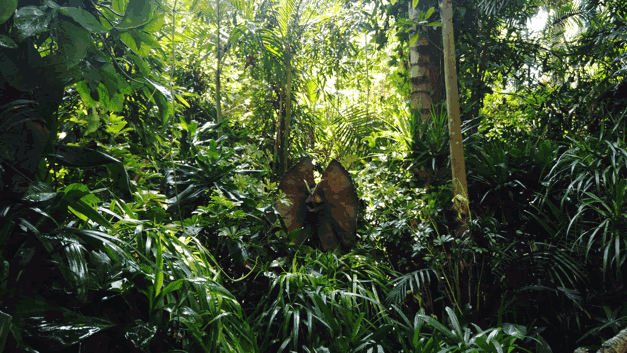 长隆野生动物世界旅行攻略(玩转长隆上篇)(30)