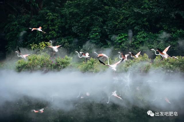 长隆野生动物世界旅行攻略(玩转长隆上篇)(76)
