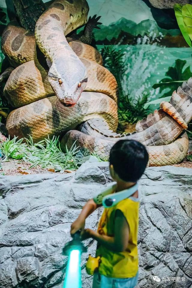 长隆野生动物世界旅行攻略(玩转长隆上篇)(92)