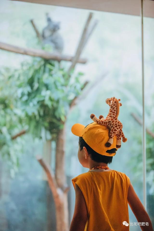 长隆野生动物世界旅行攻略(玩转长隆上篇)(43)