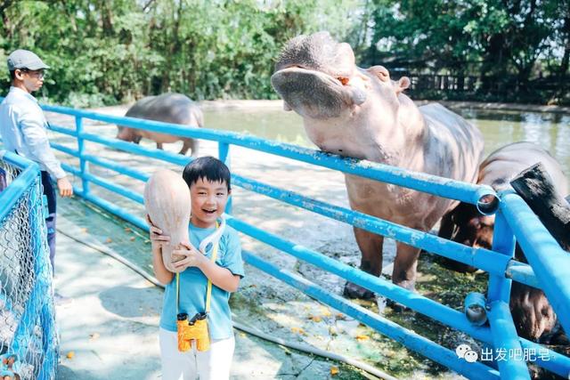 长隆野生动物世界旅行攻略(玩转长隆上篇)(71)