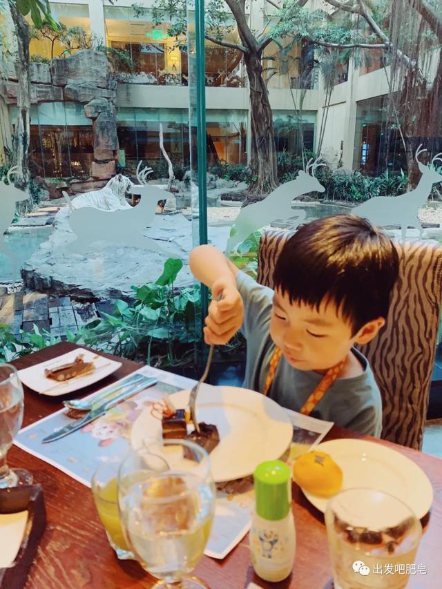 长隆野生动物世界旅行攻略(玩转长隆上篇)(81)