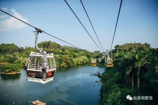 长隆野生动物世界旅行攻略(玩转长隆上篇)(19)