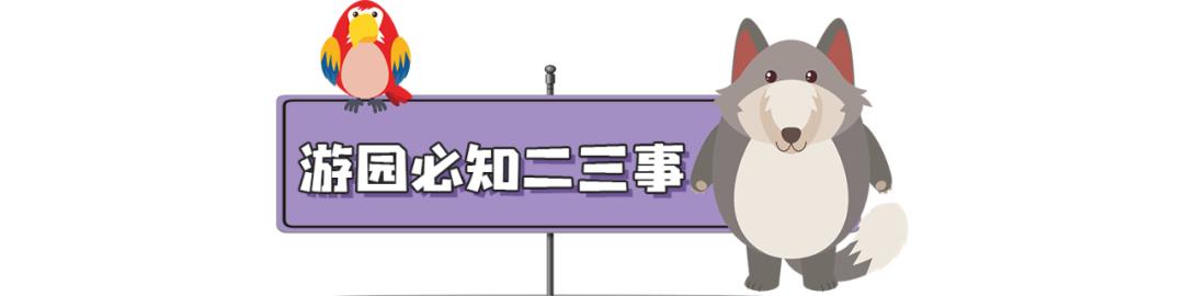 长隆野生动物世界旅行攻略(玩转长隆上篇)(58)