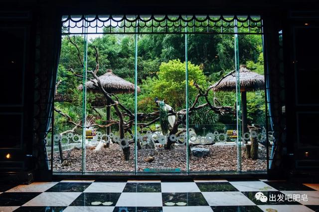 长隆野生动物世界旅行攻略(玩转长隆上篇)(89)