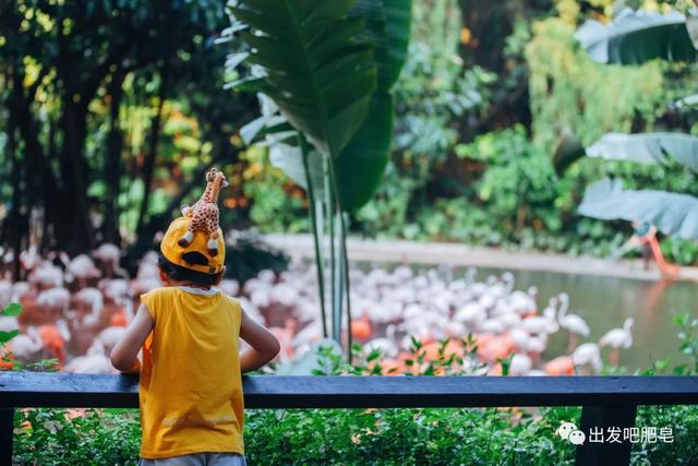 长隆野生动物世界旅行攻略(玩转长隆上篇)(51)