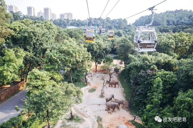 长隆野生动物世界旅行攻略(玩转长隆上篇)(22)