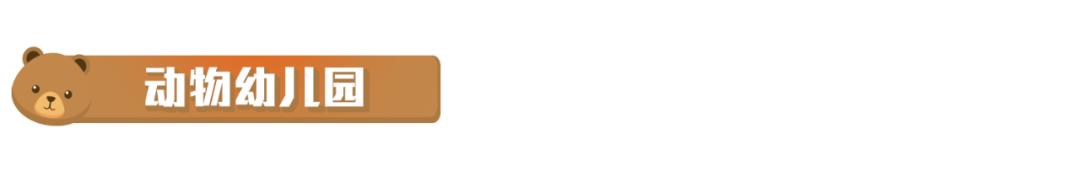 长隆野生动物世界旅行攻略(玩转长隆上篇)(32)