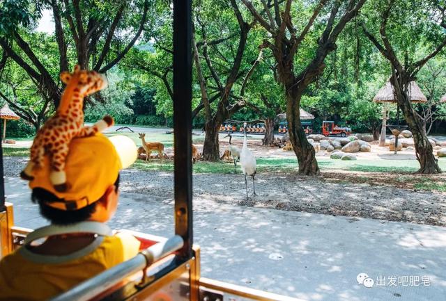 长隆野生动物世界旅行攻略(玩转长隆上篇)(11)