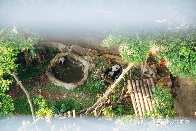 长隆野生动物世界旅行攻略(玩转长隆上篇)(21)