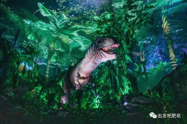 长隆野生动物世界旅行攻略(玩转长隆上篇)(31)