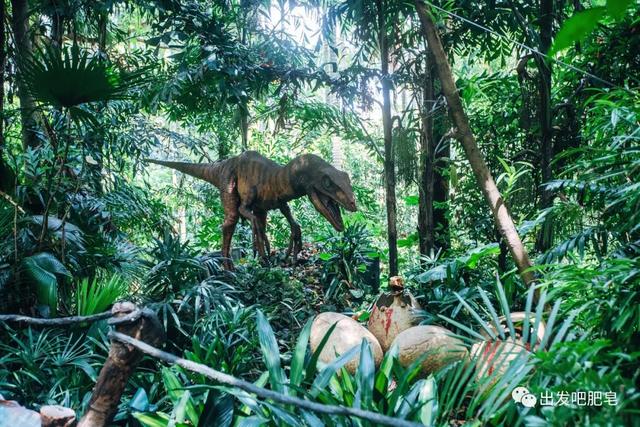 长隆野生动物世界旅行攻略(玩转长隆上篇)(28)