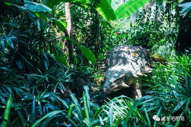 长隆野生动物世界旅行攻略(玩转长隆上篇)(29)