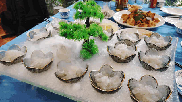 长隆野生动物世界旅行攻略(玩转长隆上篇)(87)