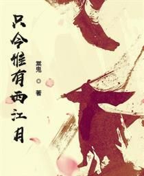 只今惟有西江月什么手法