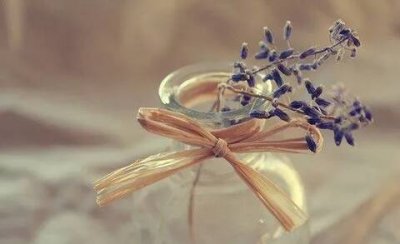 守信的诗句有哪些,君子守信守诺的诗句