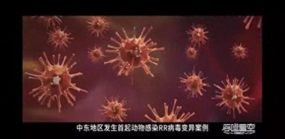 ​不明来源的RR病毒