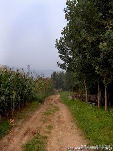 阴历7月15日是什么节日(阴历七月十五日是什么节日)