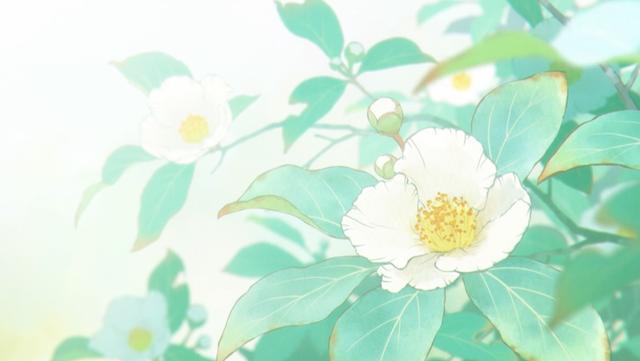 一种看上去毛茸茸的藤类植物(木棉花开紫茎花落)(14)