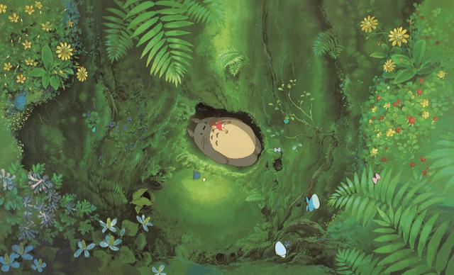 一种看上去毛茸茸的藤类植物(木棉花开紫茎花落)(4)