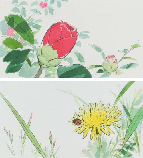 一种看上去毛茸茸的藤类植物(木棉花开紫茎花落)(8)