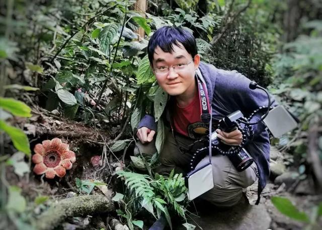 一种看上去毛茸茸的藤类植物(木棉花开紫茎花落)(22)