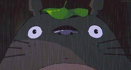 一种看上去毛茸茸的藤类植物(木棉花开紫茎花落)(19)