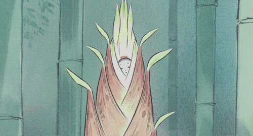 一种看上去毛茸茸的藤类植物(木棉花开紫茎花落)(9)