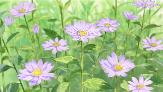 一种看上去毛茸茸的藤类植物(木棉花开紫茎花落)(15)