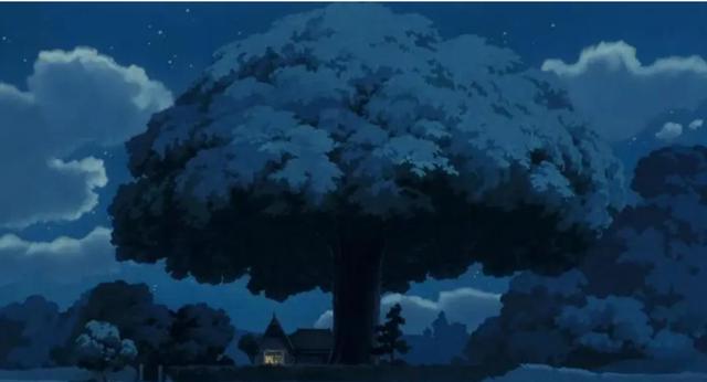 一种看上去毛茸茸的藤类植物(木棉花开紫茎花落)(21)