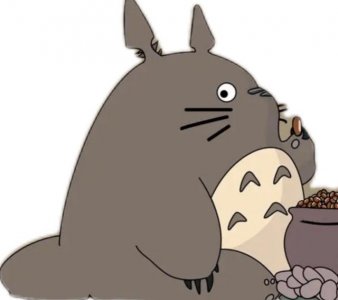 一种看上去毛茸茸的藤类植物(木棉花开紫茎花落)