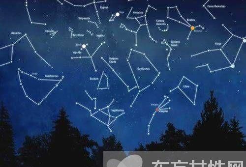 水象星座是哪些