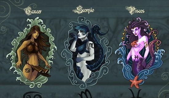 火象风象土象水星座有哪些星座