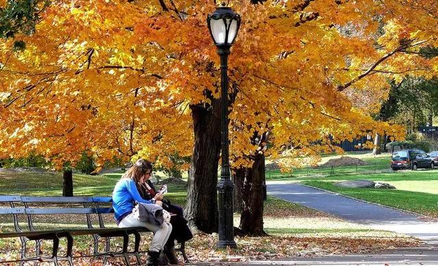 情人节晚上约会流程安排(情人节约会地点与成功概率分析)(18)