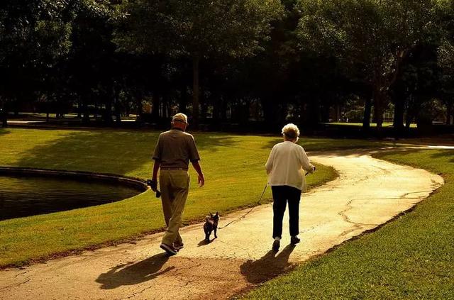 情人节晚上约会流程安排(情人节约会地点与成功概率分析)(17)