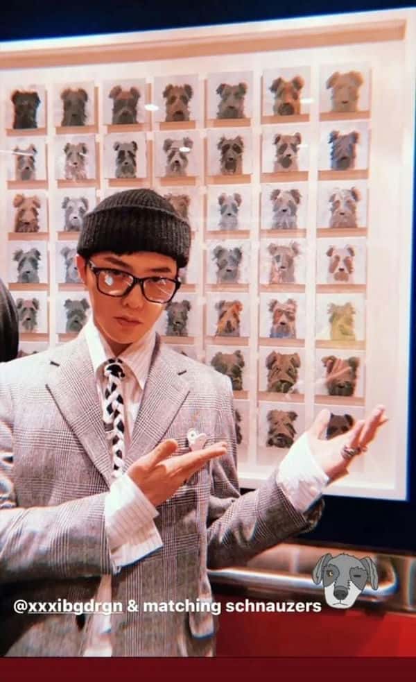 gucci板鞋鞋带系法（板鞋鞋带怎么系好看）