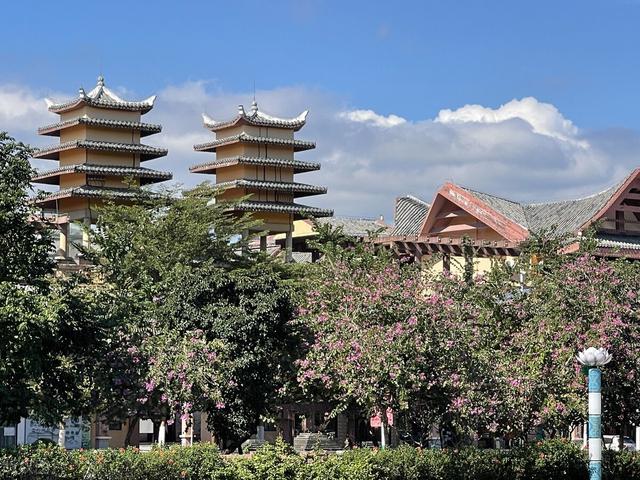 今年最强寒潮冷得有多狠(各地气温再创新低)(16)