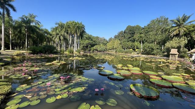 今年最强寒潮冷得有多狠(各地气温再创新低)(5)
