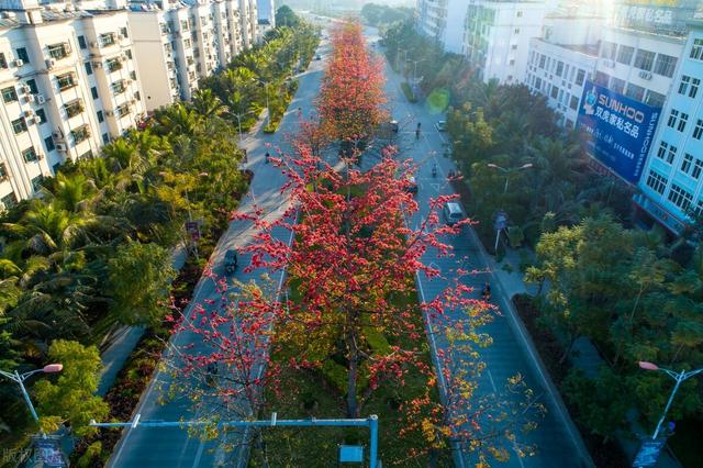 今年最强寒潮冷得有多狠(各地气温再创新低)(30)